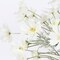 2 Pcs Artificial Fake Flowers Plants Cosmos Silk Flower Arrangements Wedding Bouquets Decorations Plastic Floral Table Centerpieces for Home Kitchen Garden Party Decor Approx 23.6'' High - White